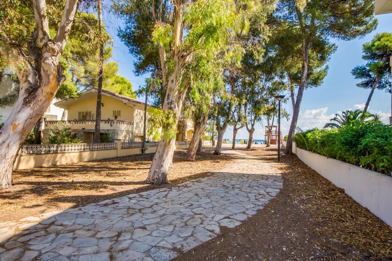 Holiday home Ideal Mallorca - Rosita 12 *